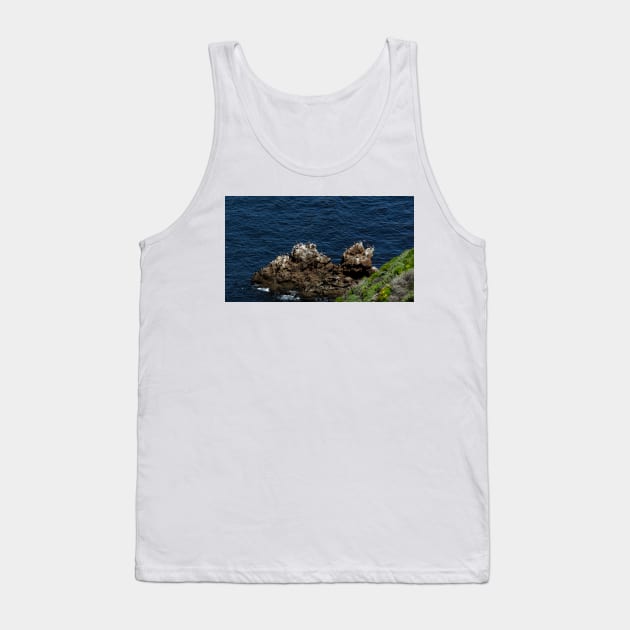 Channel Islands National Park Santa Cruz Island Tank Top by supernova23